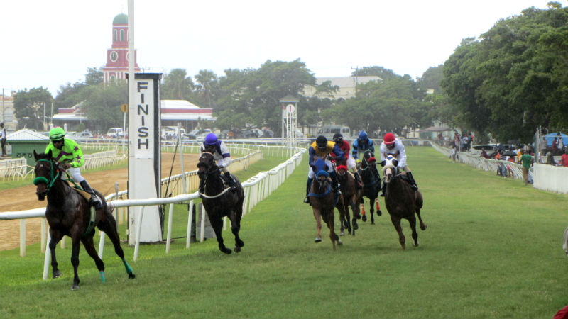 Horse Racing in Barbados