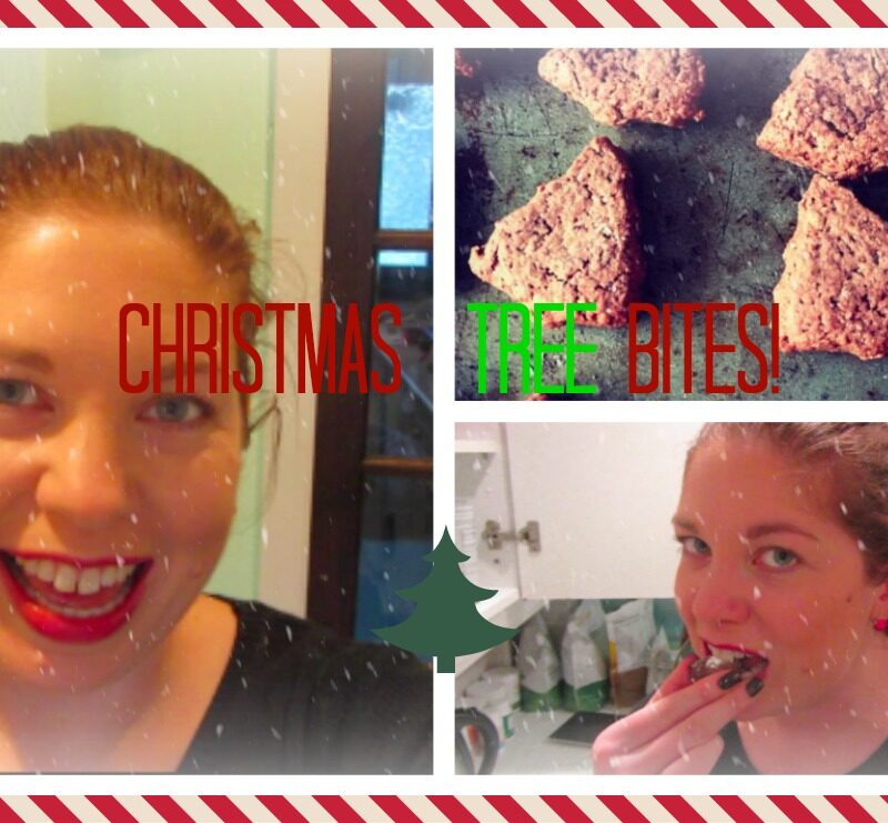 Chocolate Christmas Tree Bites