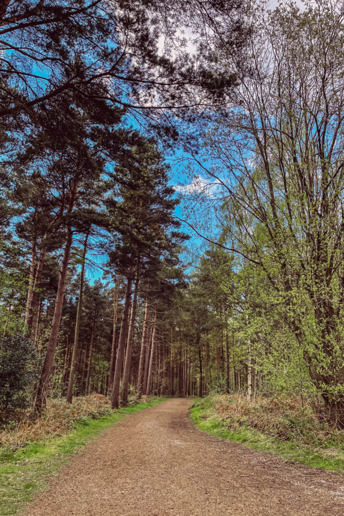 A Yorkshire Walk