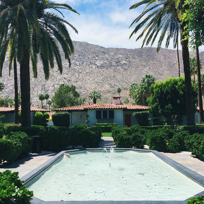 A Day in Palm Springs